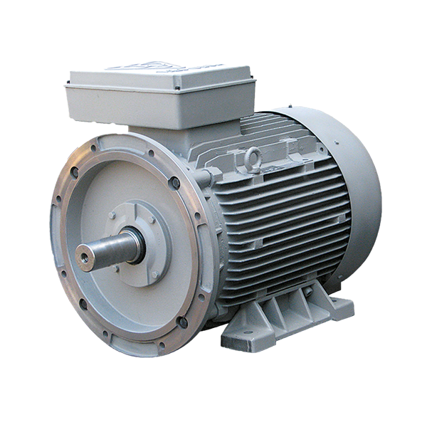 الکتروموتور  315L2B 250-3000 55F 380/660 B35