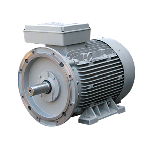 الکتروموتور  315L4A 200-1500 55F 380/660 B35