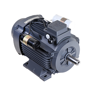 الکتروموتور CRS90L2A 1.5-3000 44F