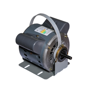 الکتروموتور کولری  CRS 1/2  2Speed B3 LC65 36S