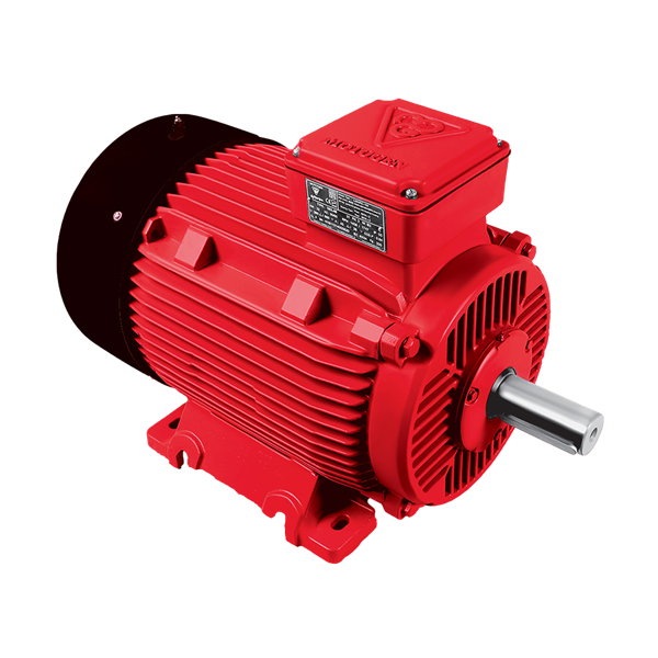 الکتروموتور 200L4 30-1500 55H 380/660 Progressive