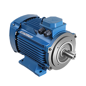 الکتروموتور 100L4A- 2.2-1500 54F 220/380 B34