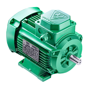 الکتروموتور 63M2A .18-3000 54F 220/380 B35 IE4