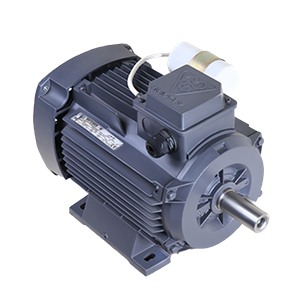 الکتروموتور CR63M2B .25-3000 54F