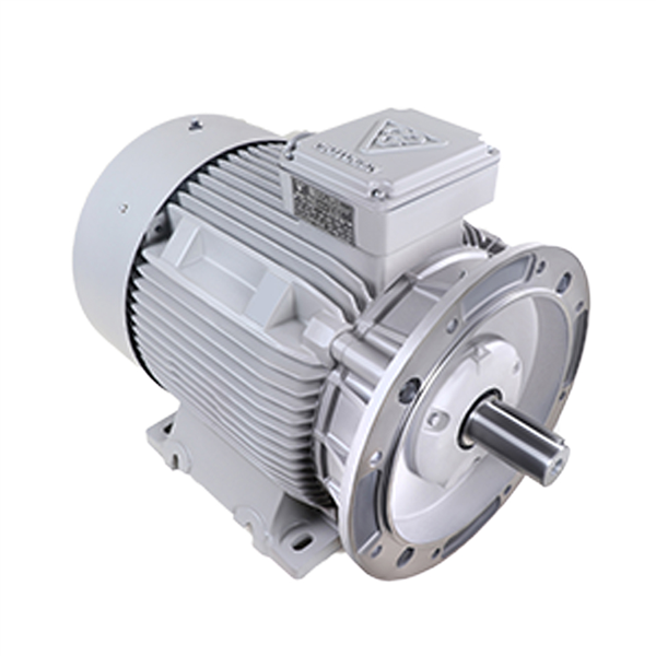 الکتروموتور 180L8 11-750 55F 380/660 B35