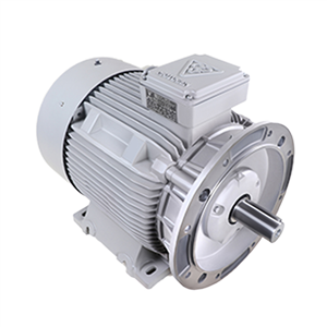 الکتروموتور 180L8 11-750 55F 380/660 B35