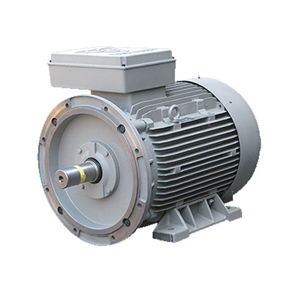 الکتروموتور  315S2B 132-3000 55F 380/660 B35