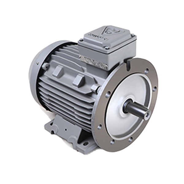 الکتروموتور 132M6B 4-1000 55F 380/660 B35   چدنی