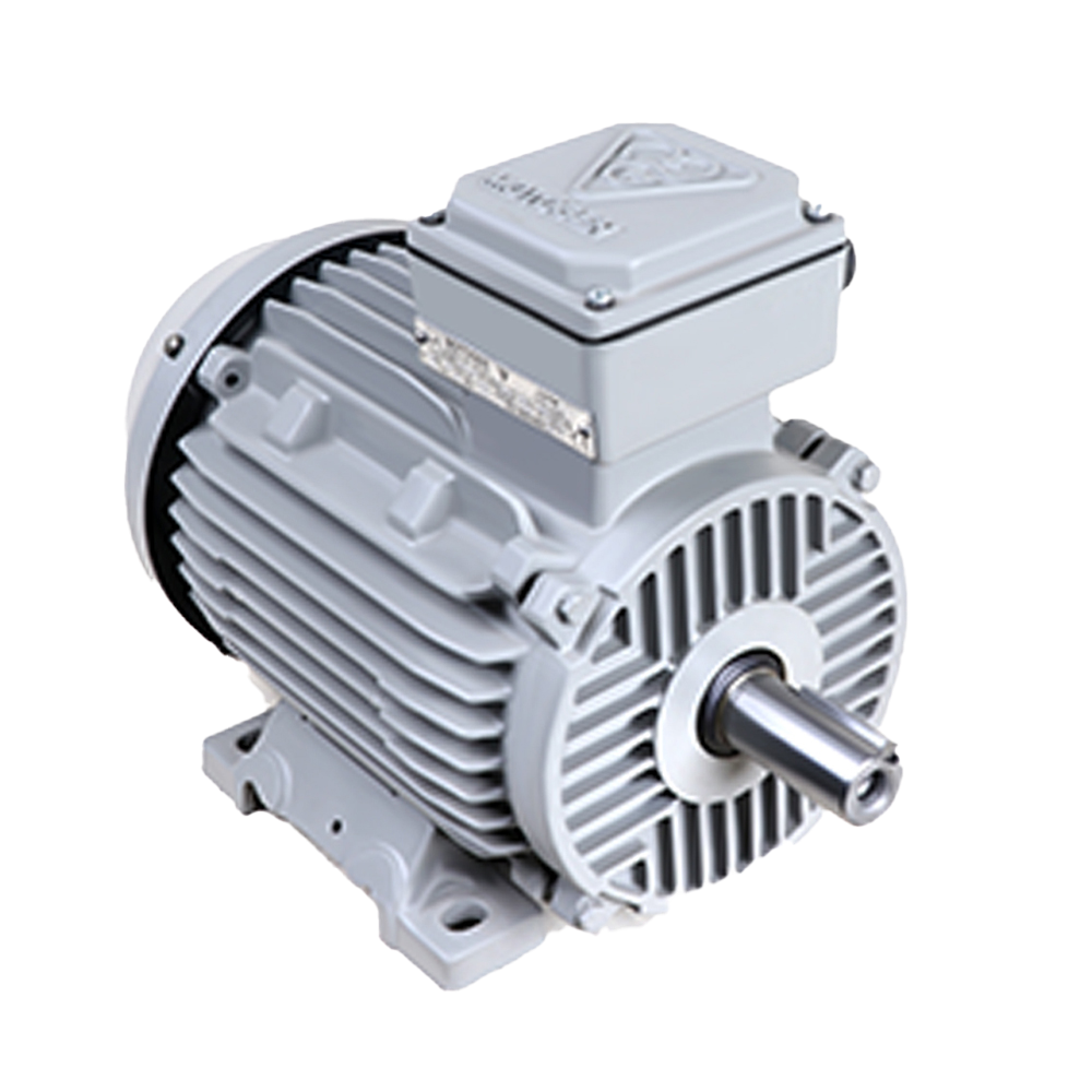 الکتروموتور 100L6 1.5-1000 55F 220/380-230/400چدنی