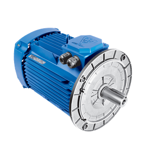 الکتروموتور 63M2A .18-3000 54F 220/380 B5 IE4