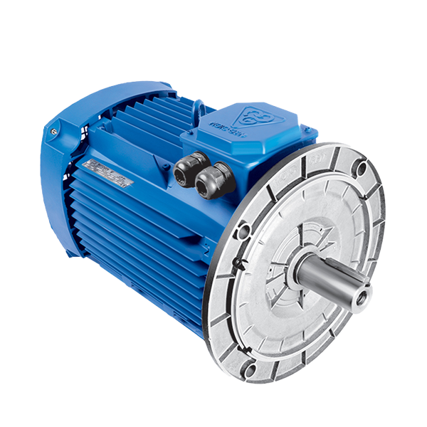 الکتروموتور 90L4B 1.5-1500 54F 220/380 B5