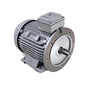 الکتروموتور 132M6B 4-1000 55F 380/660 چدنی